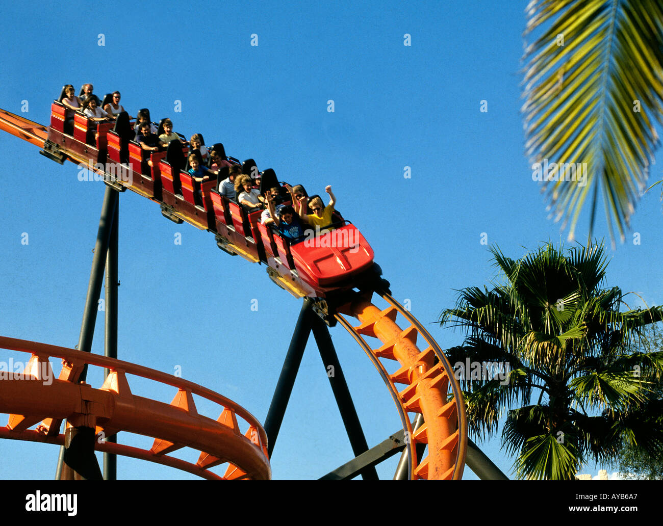 Funfair In Busch Gardens In Tampa Florida Stock Photo 1816230 Alamy