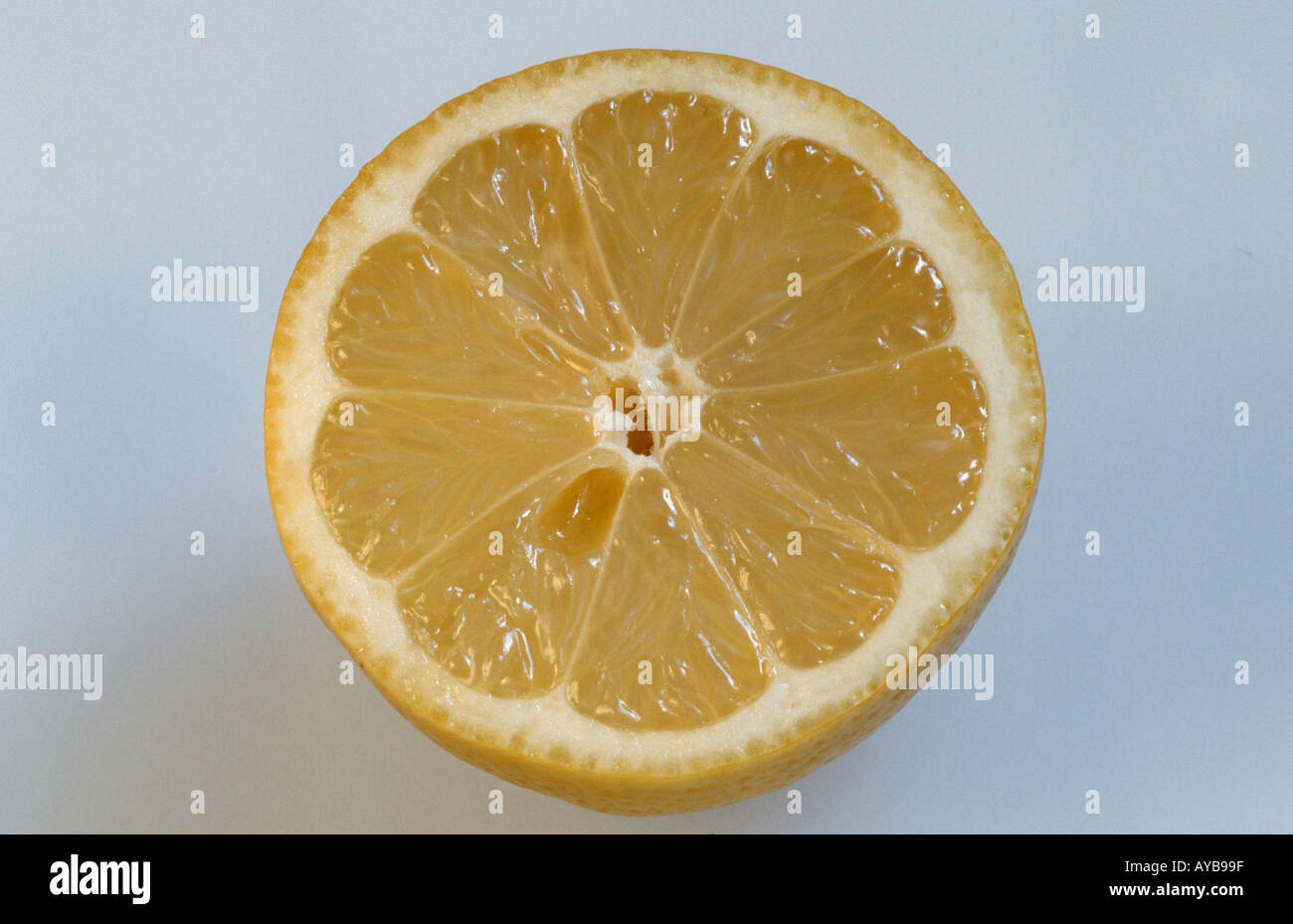 Lemon Citrus limon Zitrone Nutzpflanzen useful plants Rautengewaechse Rutaceae Nahrungsmittel food gelb yellow Querformat Stock Photo