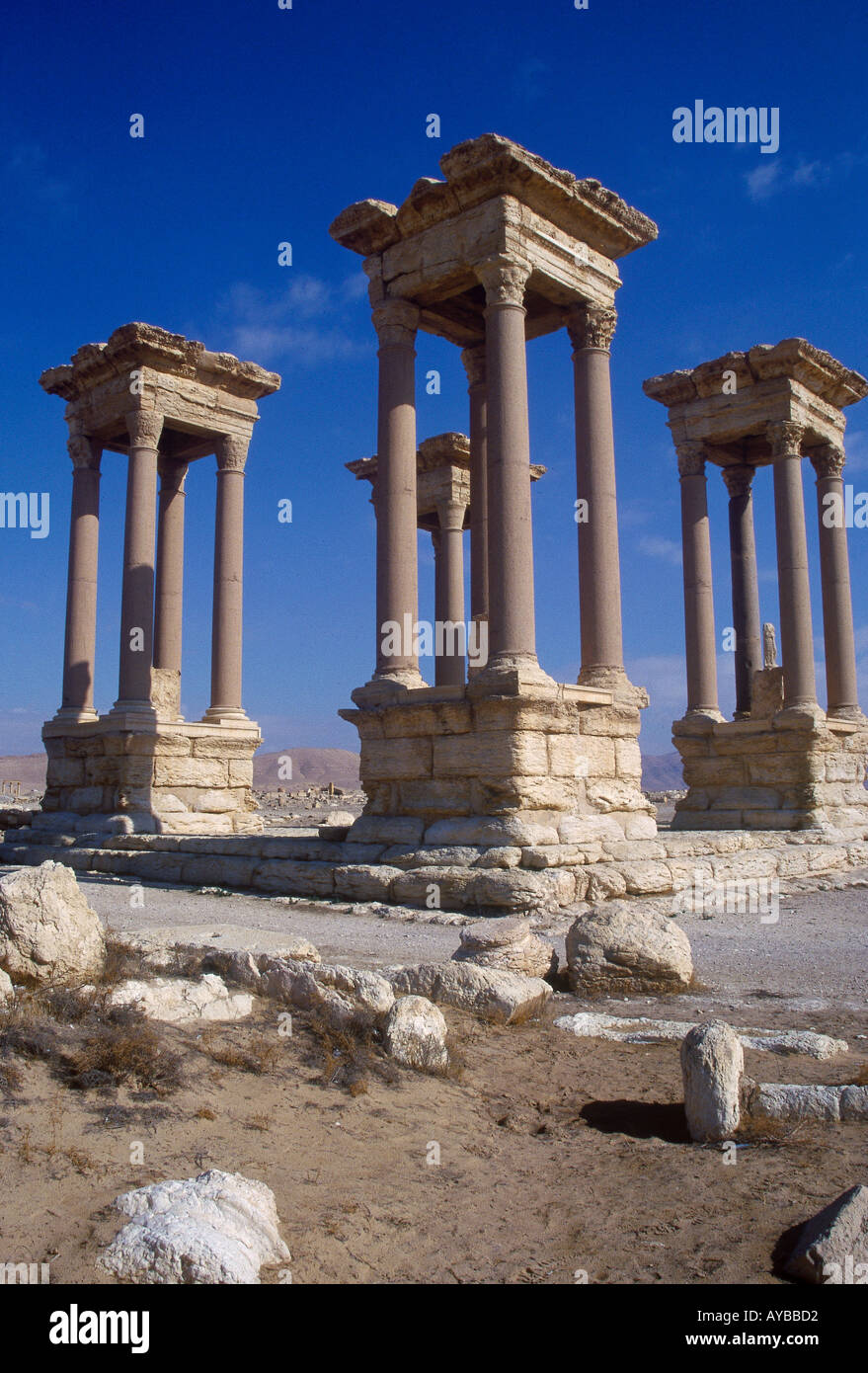 Palmyra tadmor hi-res stock photography and images - Alamy