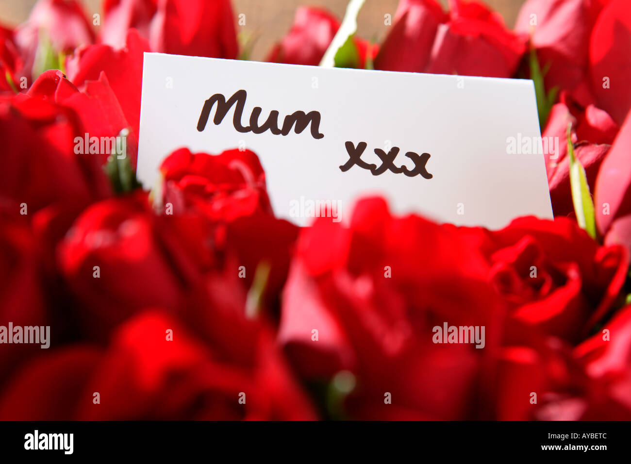 roses for mum