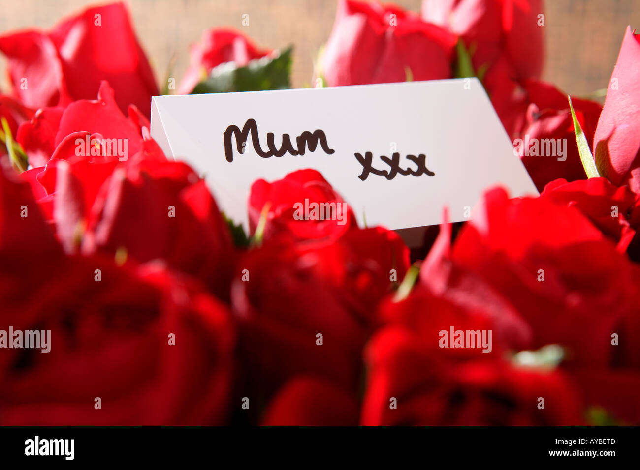 Bouquet of red roses with card to Mum with kisses Stock Photo - Alamy