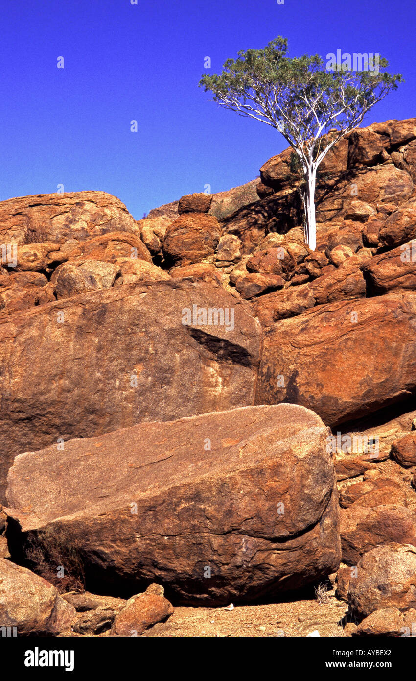 Lone tree among rock hi-res stock photography and images - Alamy