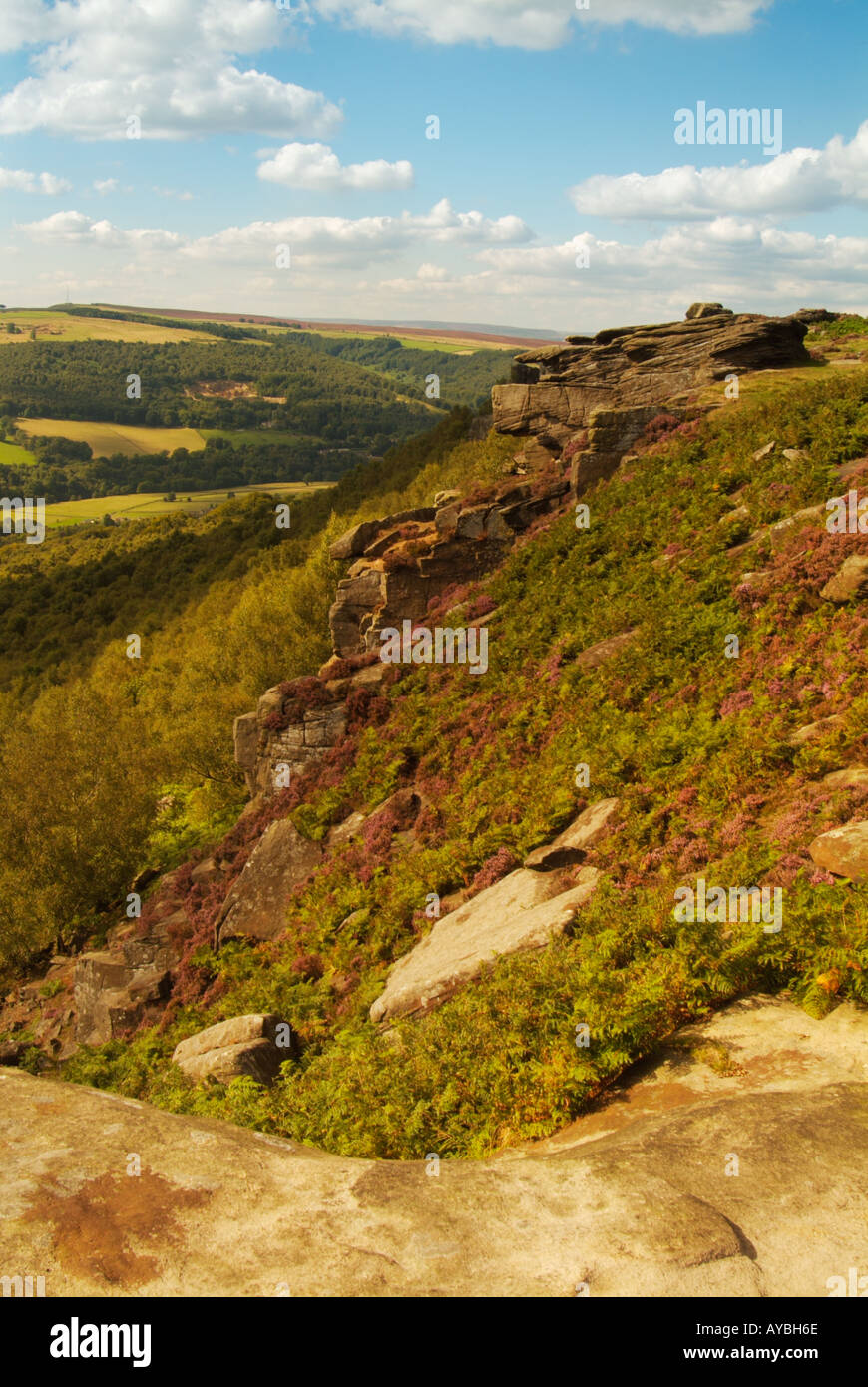 Bell Heather and Gritstone rocks on Froggatt Edge near Chesterfield ...