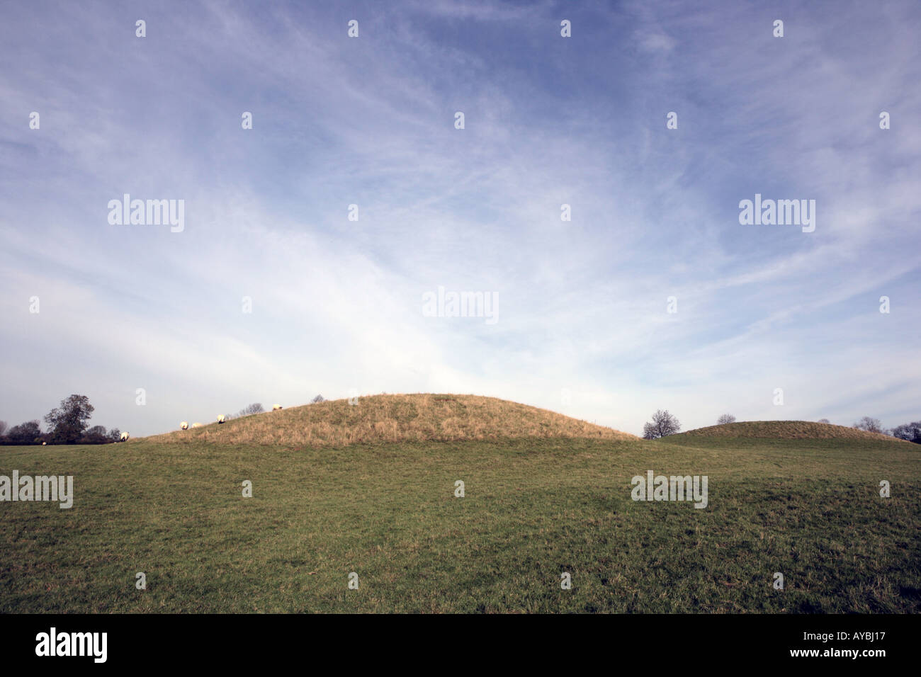 Impressive burial mounds lying east of Thornborough Bridge and dating from the Iron Age,  near Buckingham Stock Photo