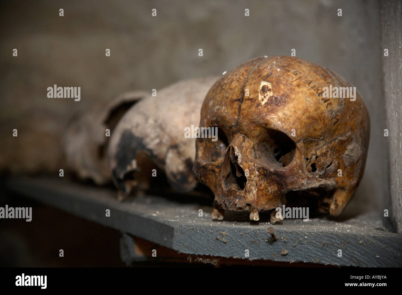 Row of skulls in cellar of chapel alongside  Preobrazhenski monastery, near Veliko Turnovo,  Bulgaria Stock Photo