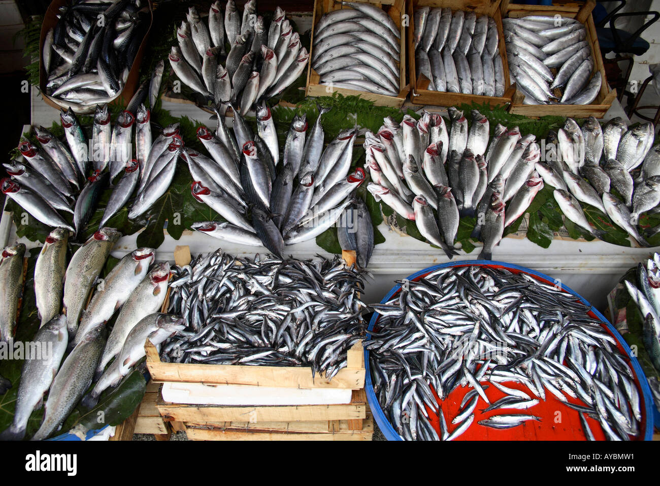 Fish market. Karakoy, Istanbul, Turkey Stock Photo Alamy
