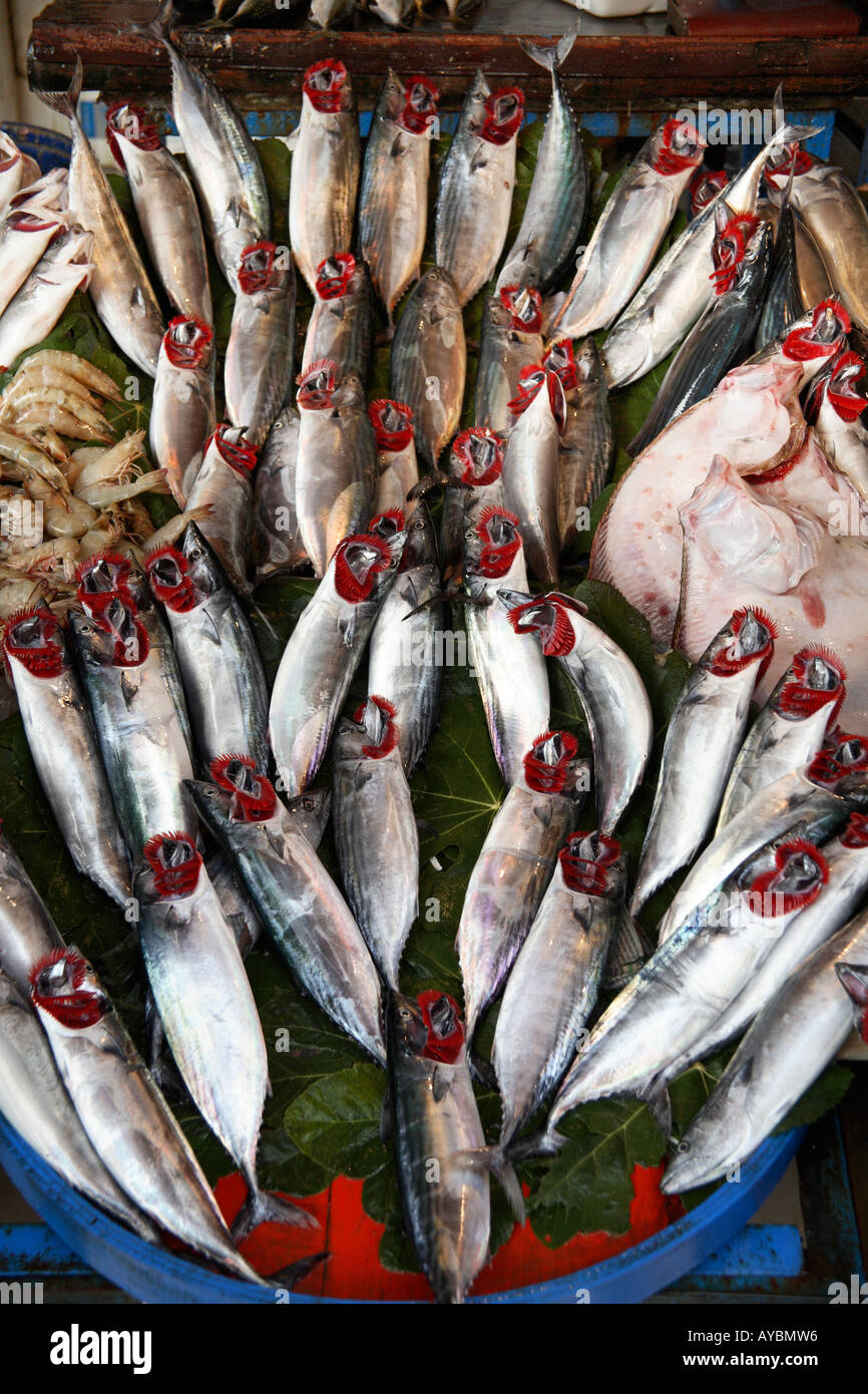 Fish Market Karakoy High Resolution Stock Photography and Images Alamy