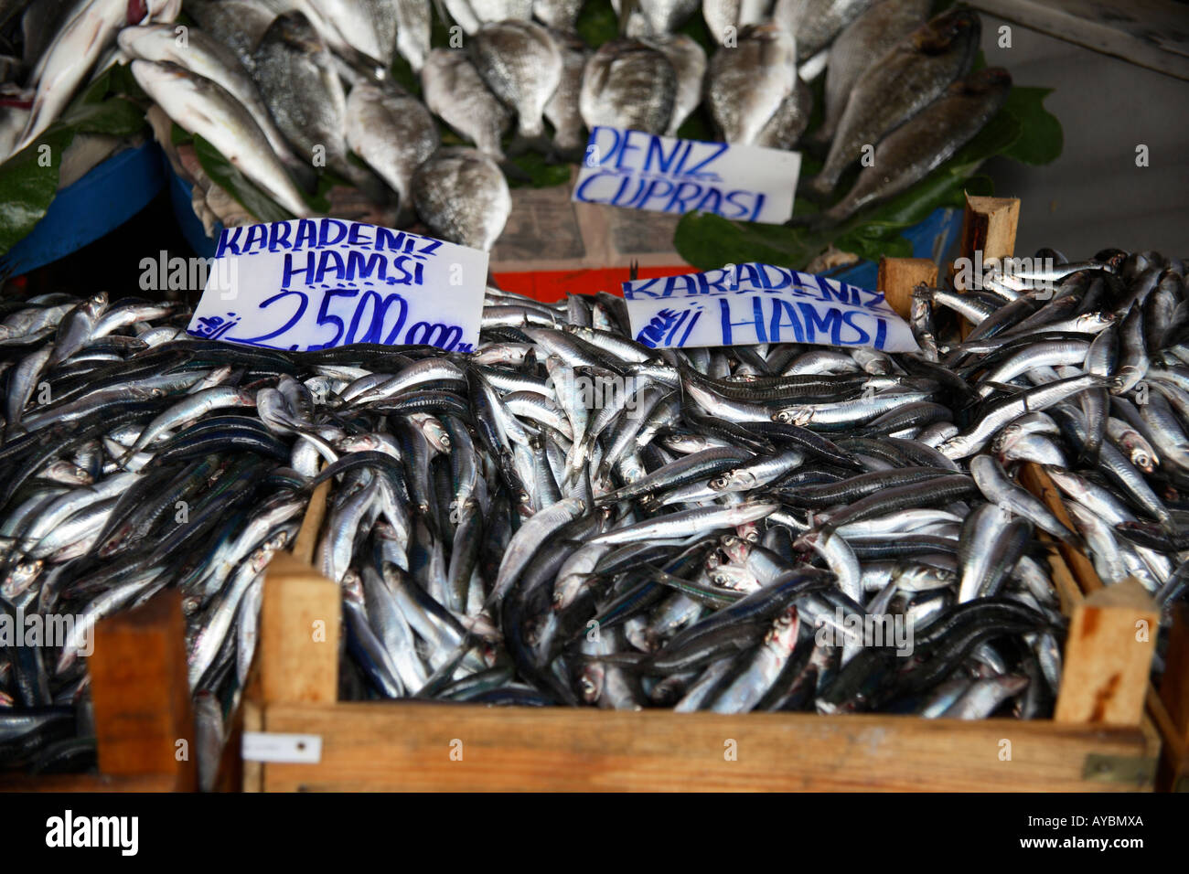 Fish market. Karakoy, Istanbul, Turkey Stock Photo Alamy