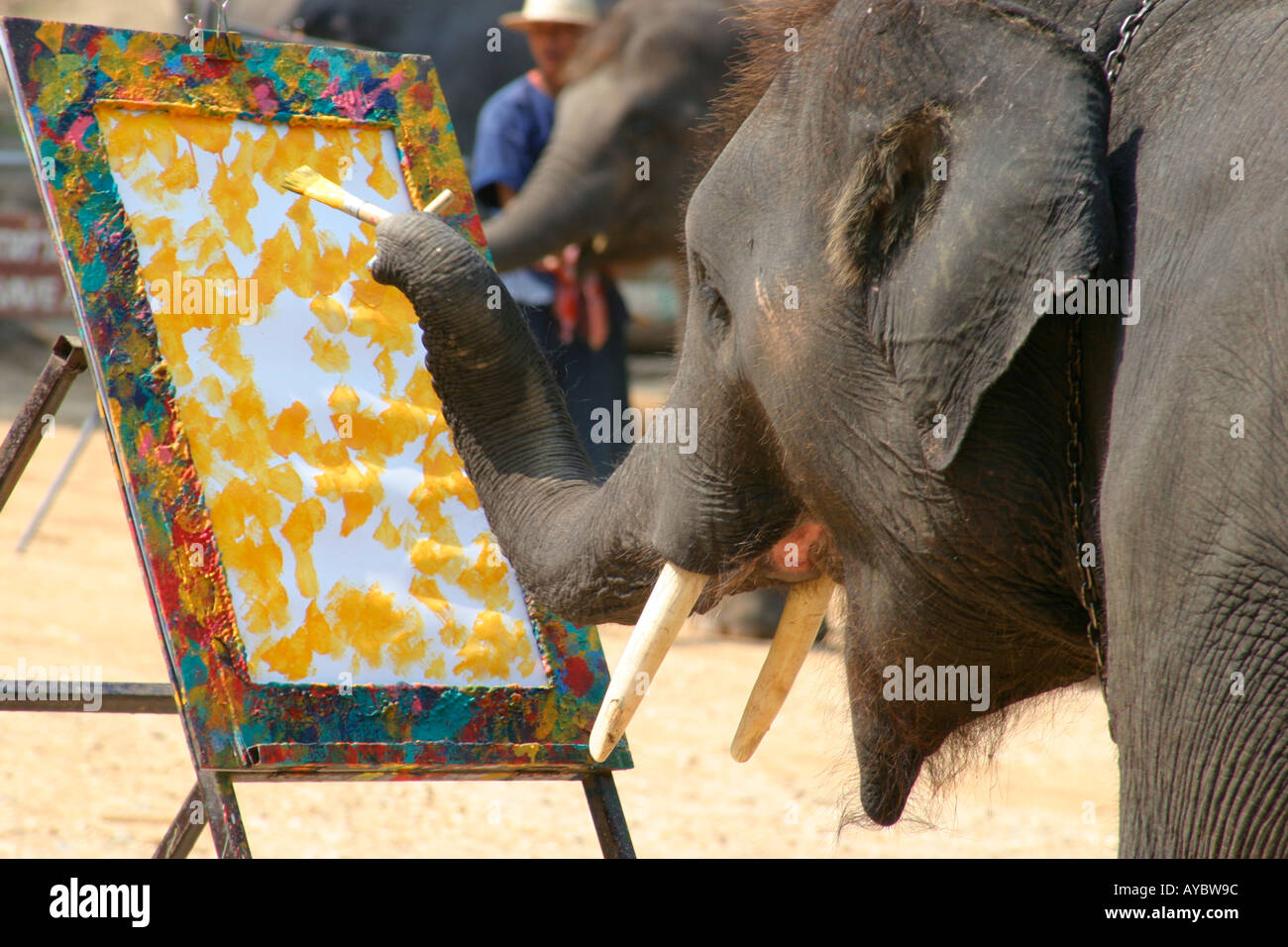 Elephant painting hires stock photography and images Alamy