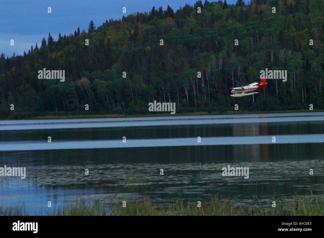 Sea plane landing hi-res stock photography and images - Alamy