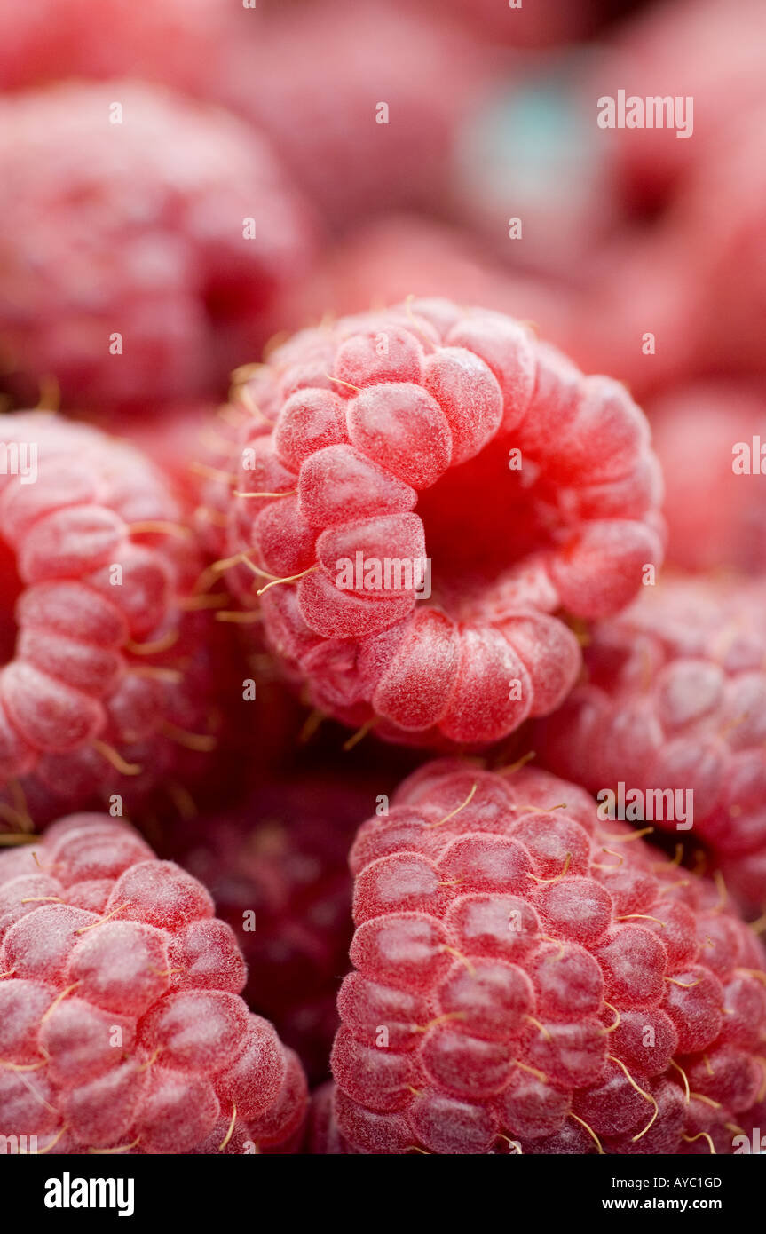 Raspberries at country farmstand Stock Photo
