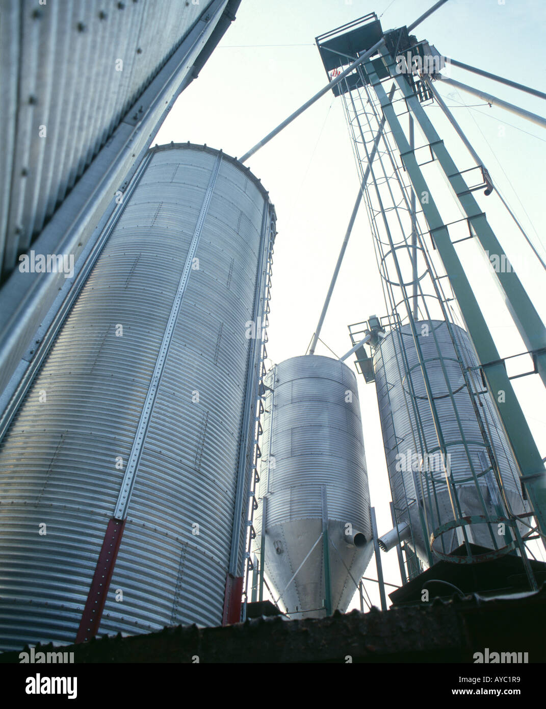 GRAIN ELEVATOR TEXAS Stock Photo Alamy
