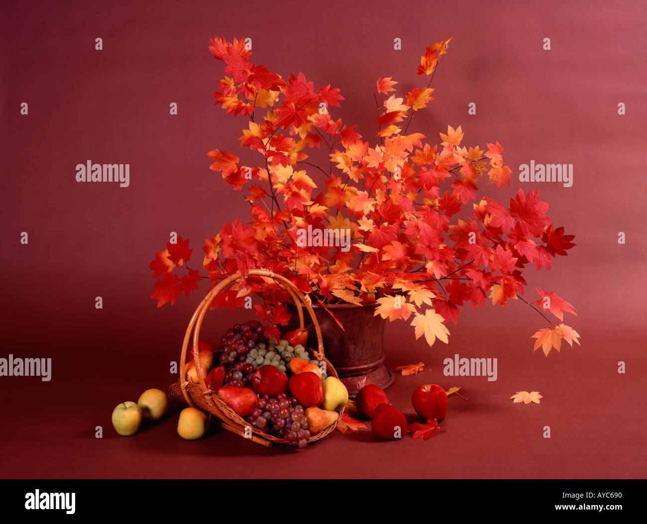 Fall harvest still life with Vine Maple branches and basket of seasonal ...
