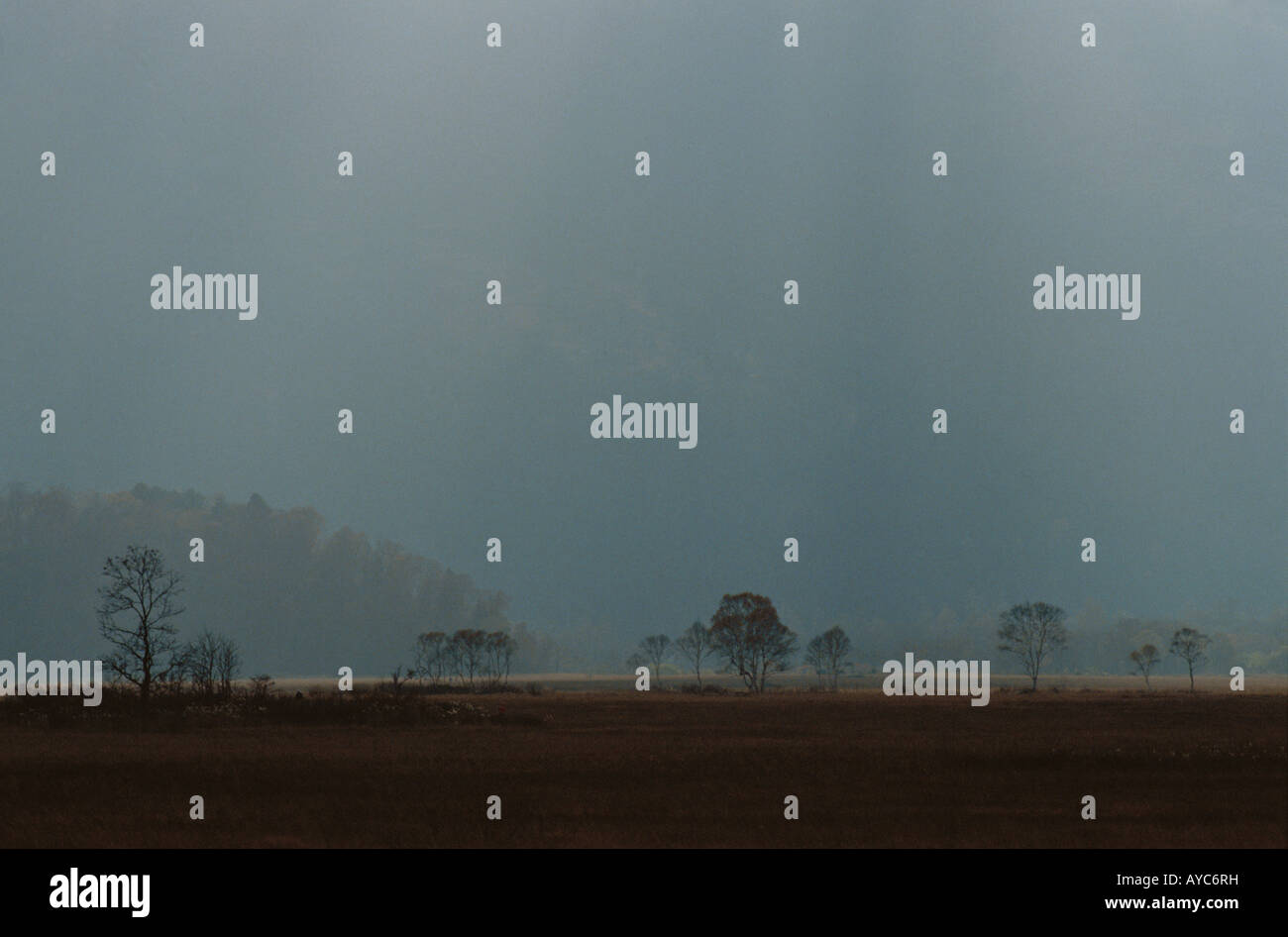 Field in Mist Stock Photo - Alamy