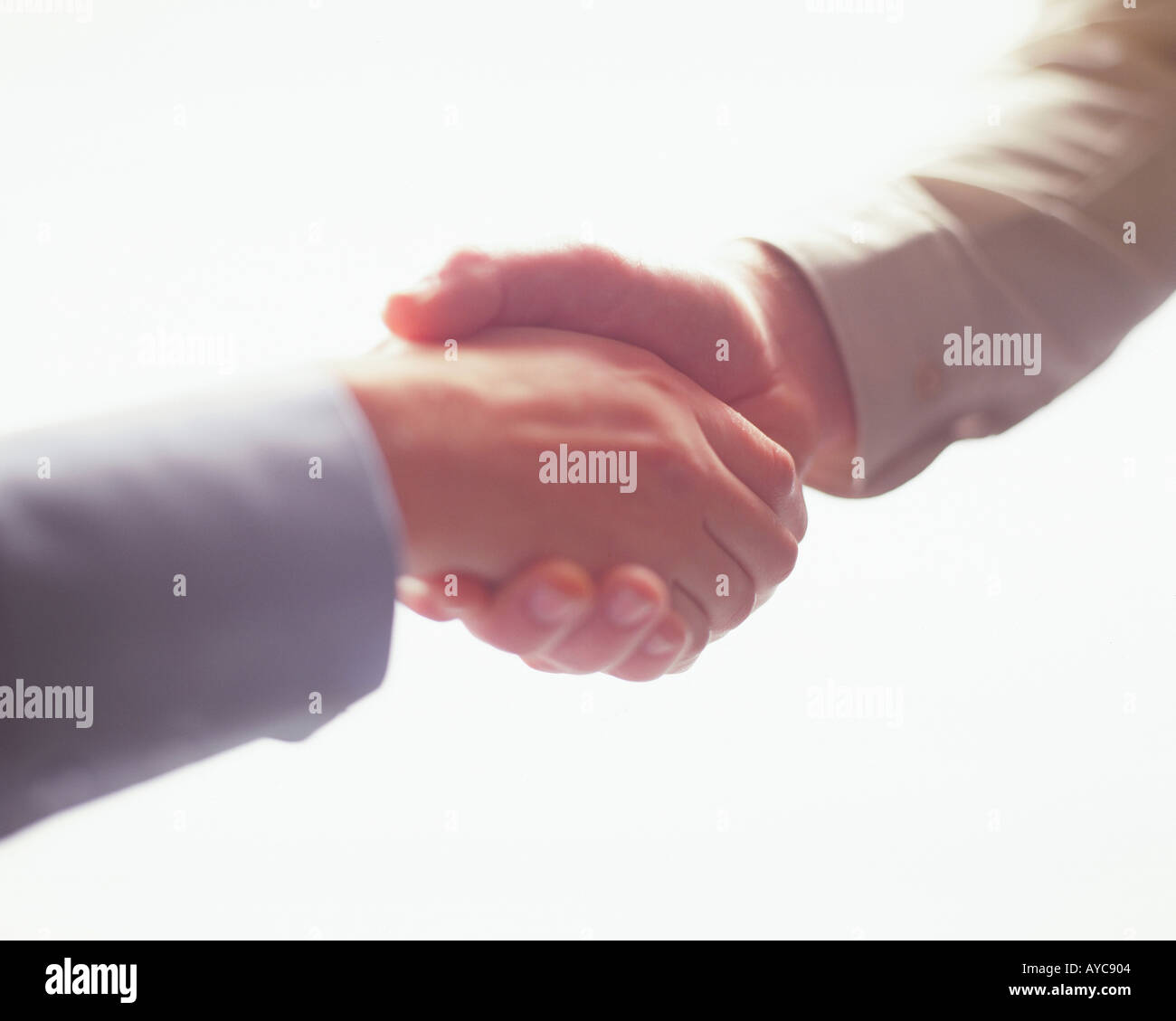 handshake Stock Photo