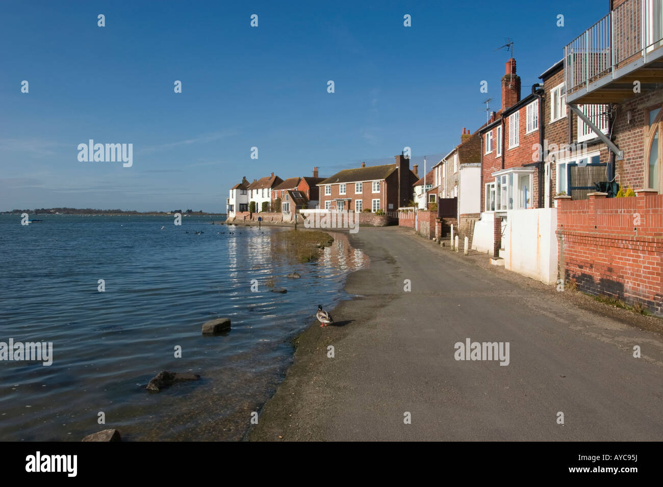 Shore Road Bosham which floods at High Tide often cutting off cars of  unsuspecting visitors Stock Photo - Alamy