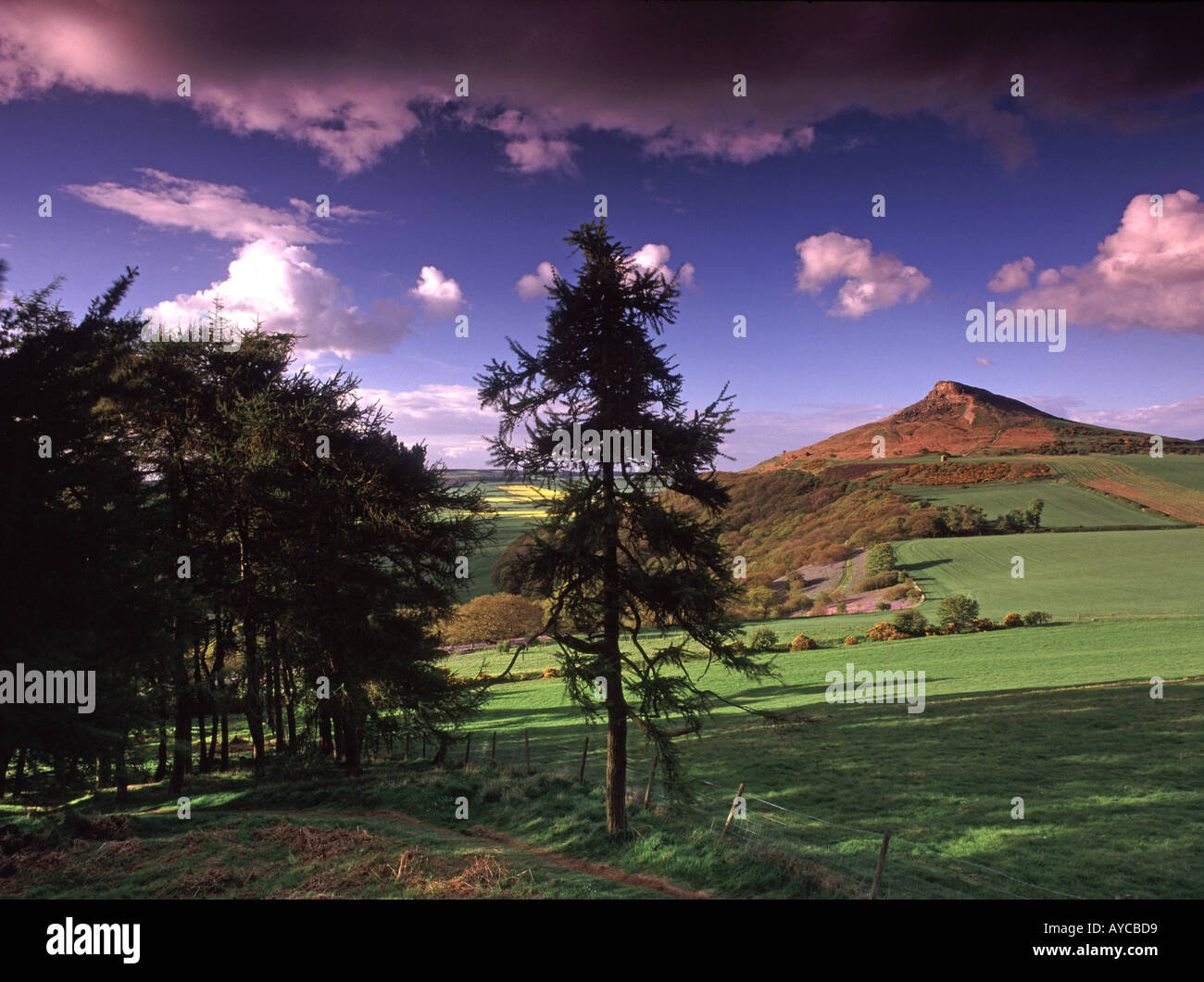 Roseberry Topping near Graet Ayton North Yorkshire Moors National Park