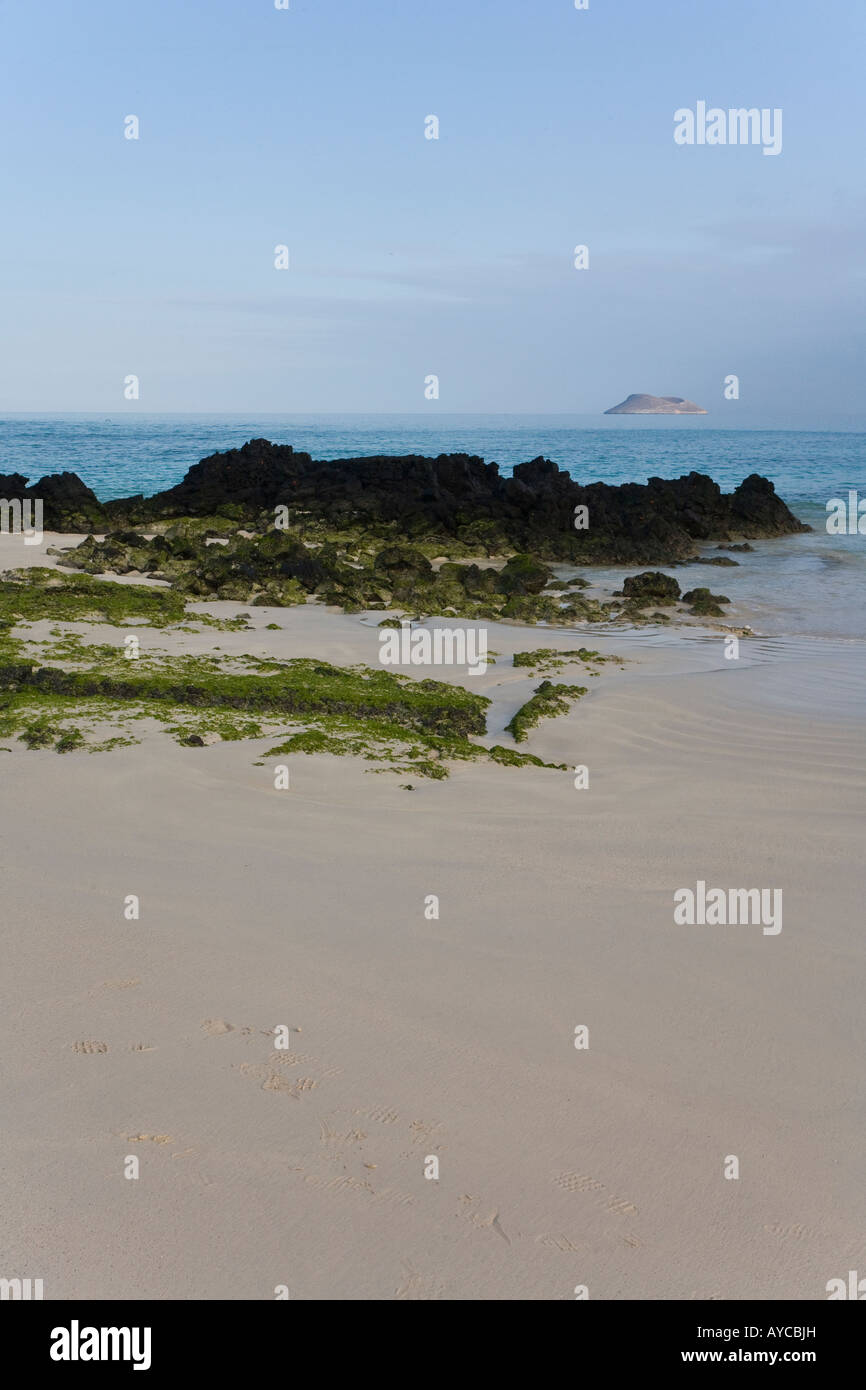 Coral sand beach on Santa Fe with black basalt lava and Daphne in the background Stock Photo