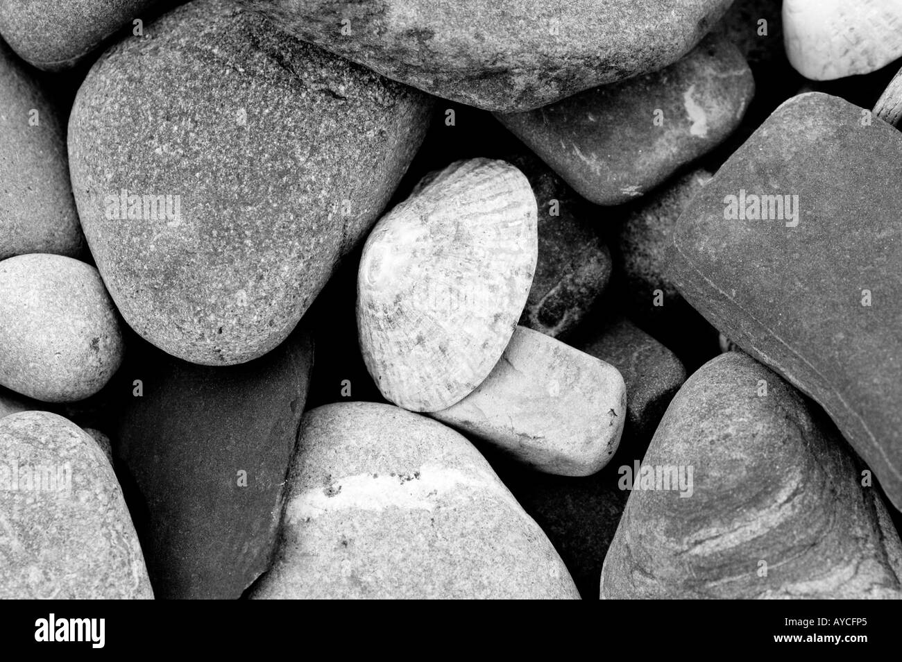 Beach Stones in Black and White Stock Photo Alamy