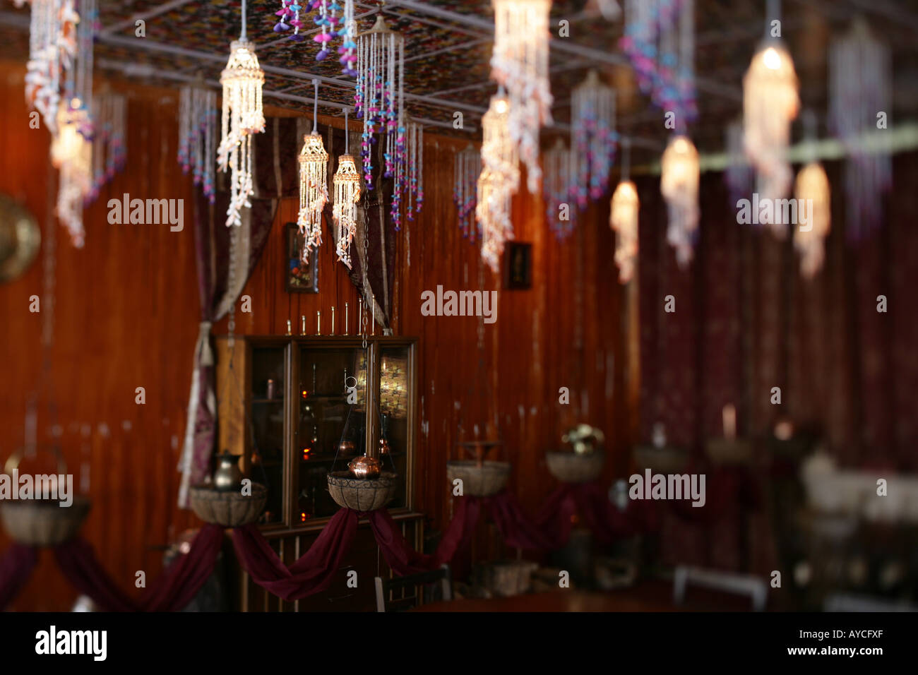 Safari coffee shop Temple Street New Haven CT Stock Photo Alamy