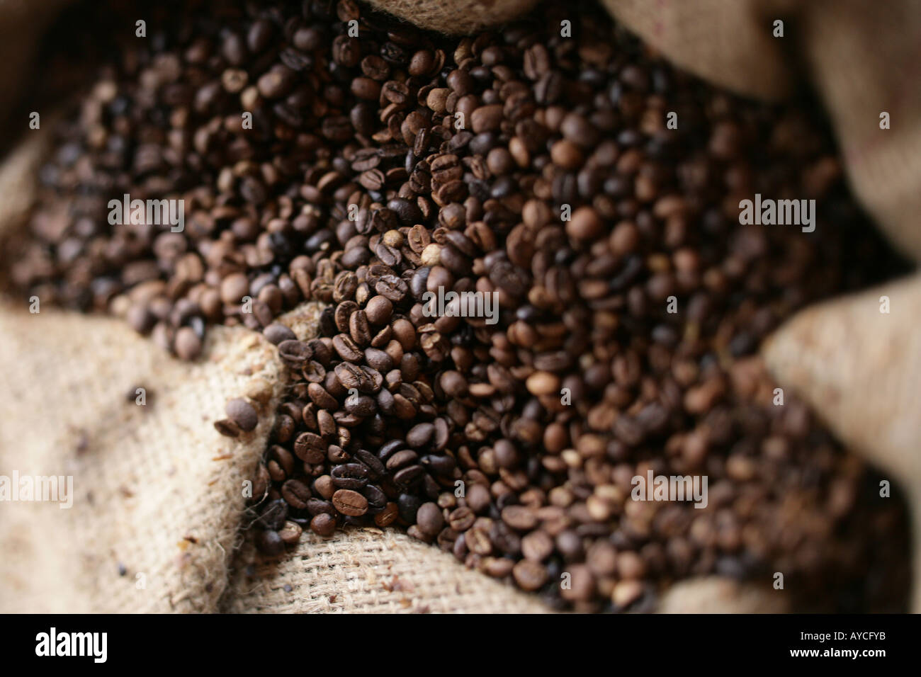 Coffee Beans in Burlap bag Stock Photo Alamy