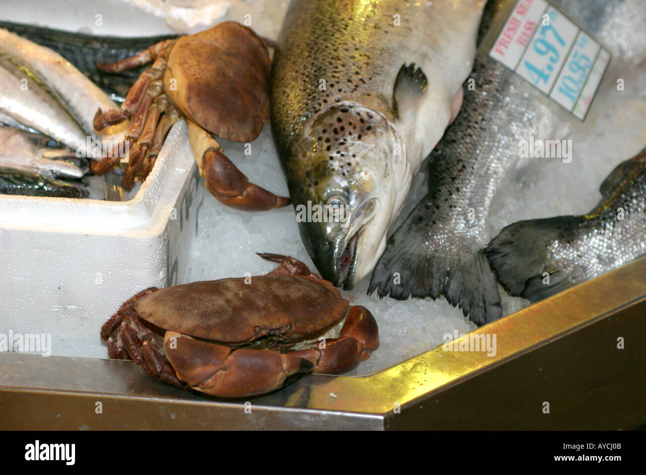 Oil covered fish hi-res stock photography and images - Alamy