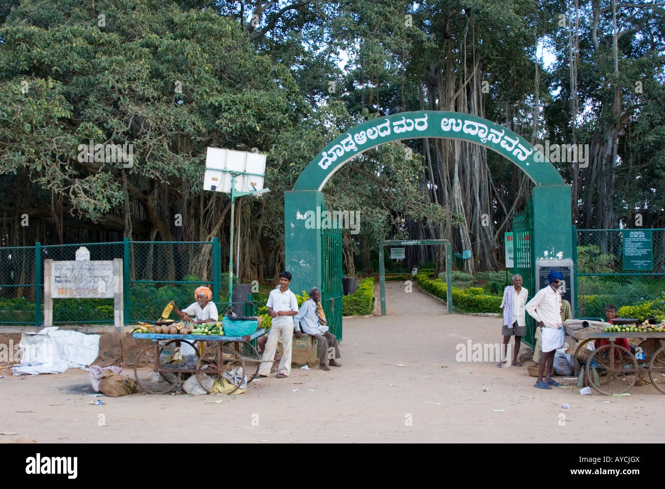 The Big Banyan Tree a popular tourist spot at Ramohalli near Banaglore
