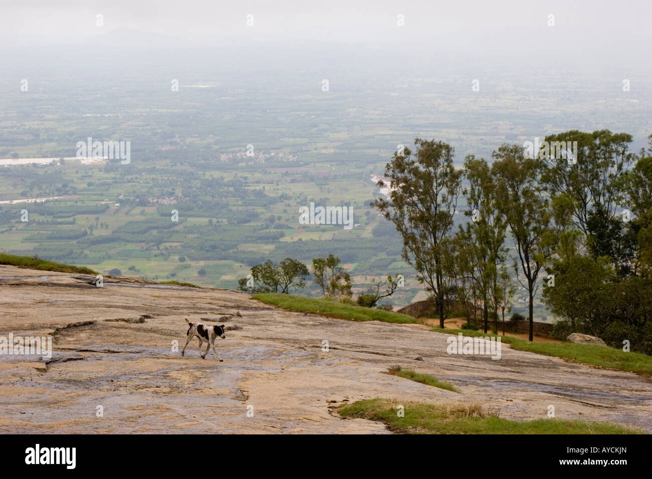 View from the Tipu Drop where Tipu Sultan would execute his prisoners by pushing them over the cliff Stock Photo