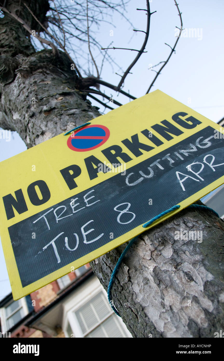 No Parking sign tree cutting Stock Photo Alamy