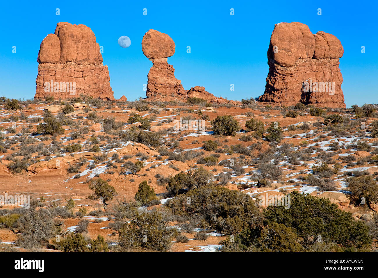 The rising moon hi-res stock photography and images - Alamy