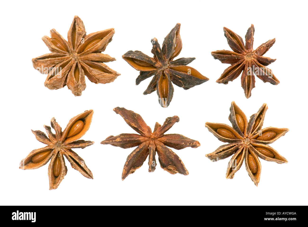 6 six whole star anise Illicum verum bizarrely trippy bizarre form look looking medicinal plant medicine CUTOUT Stock Photo