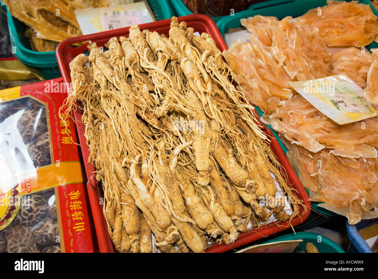 Dried squids sea horse hippocampus knife fish and exotic food things