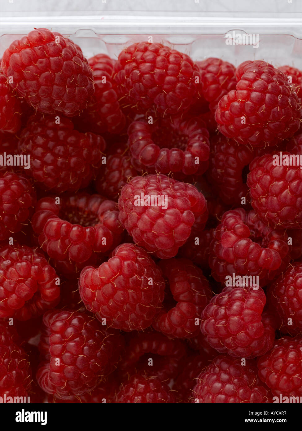Fresh raspberries shot with Hasselblad medium format digital Stock Photo