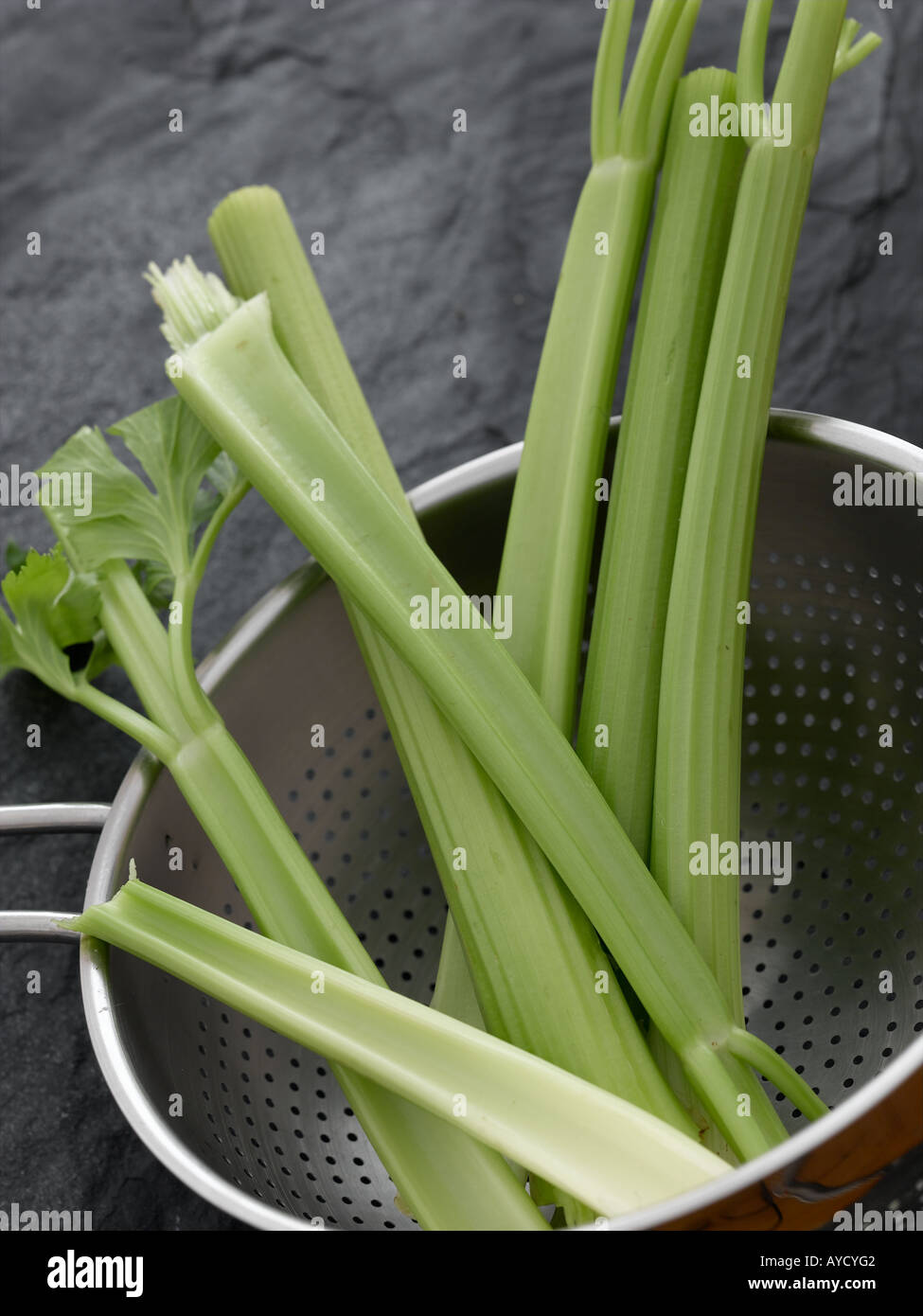 Celery stalks high end Hasselblad 61mb digital image Stock Photo Alamy