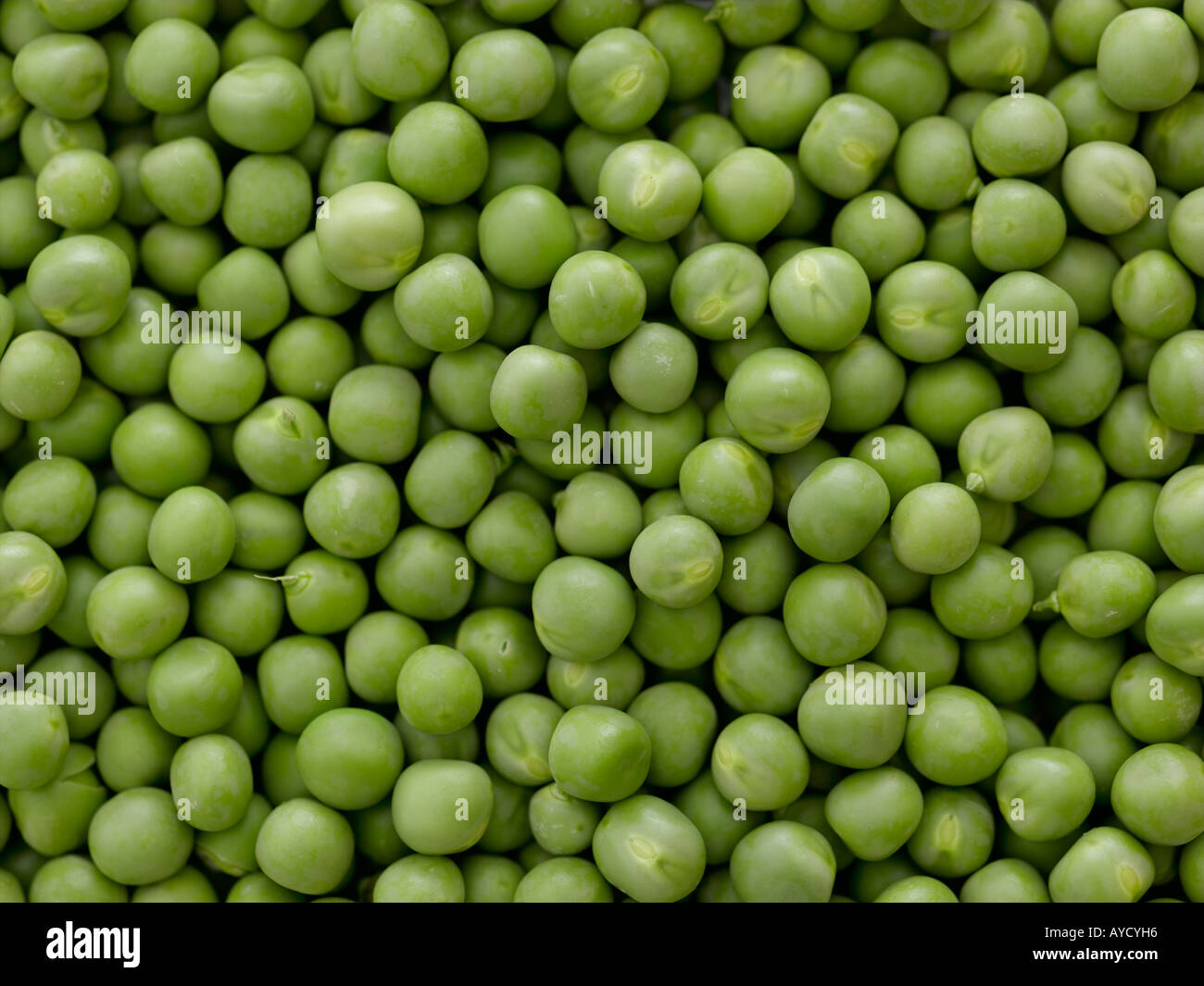 Green peas - high end Hasselblad 61mb digital image Stock Photo