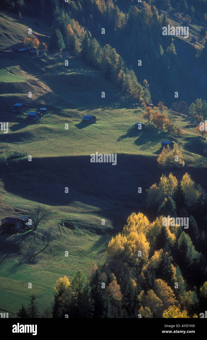 Alpine farms barns and meadows in autumn with larch tree forest Binn Valley canton Valais Swiss alsp Switezrland Stock Photo