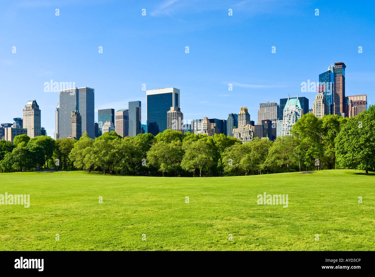 Central Park Sheep Meadow Skyscrapers Autumn New York City Photo Poster 12x18