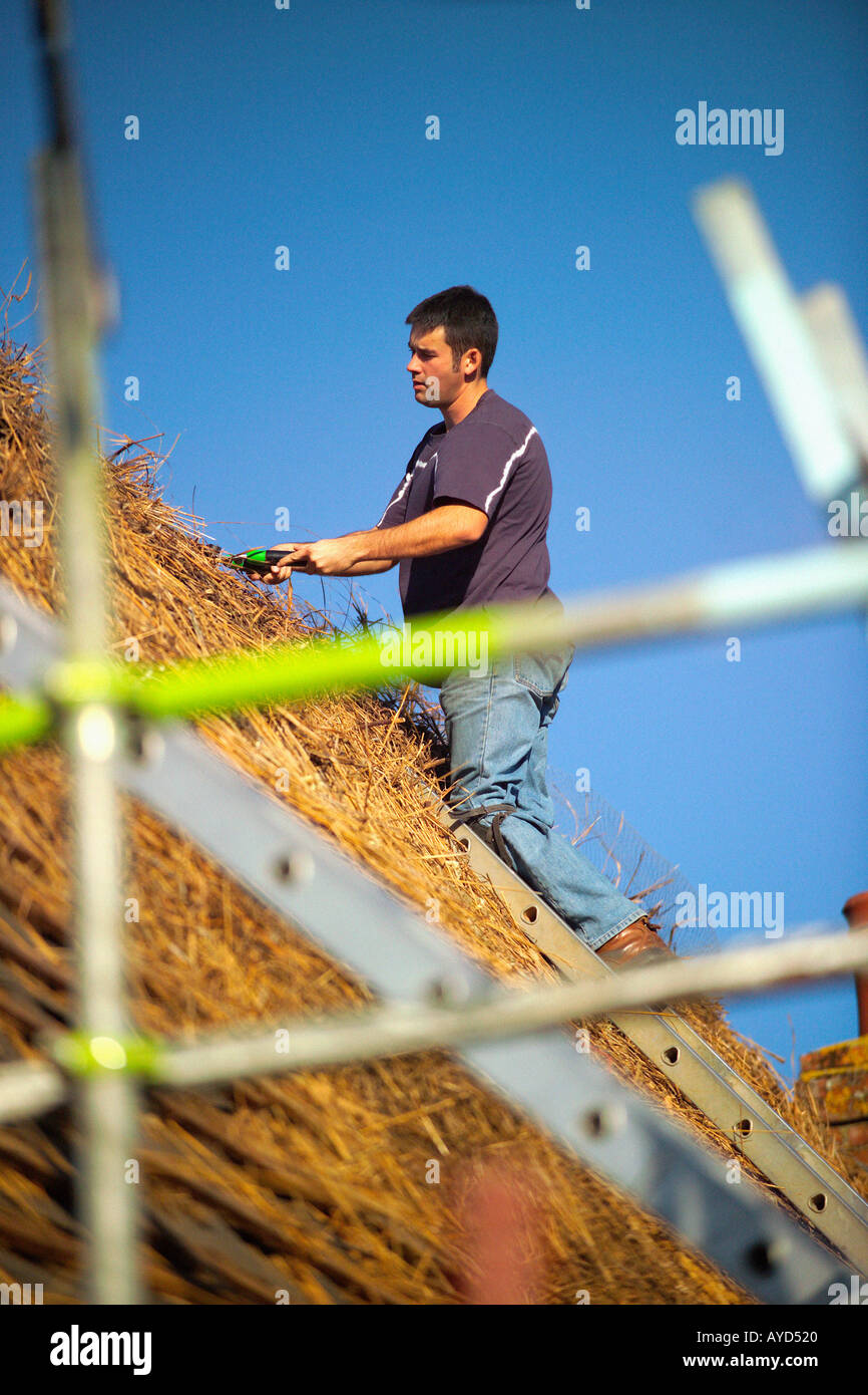 Thatched roof trimming Stock Photo Alamy