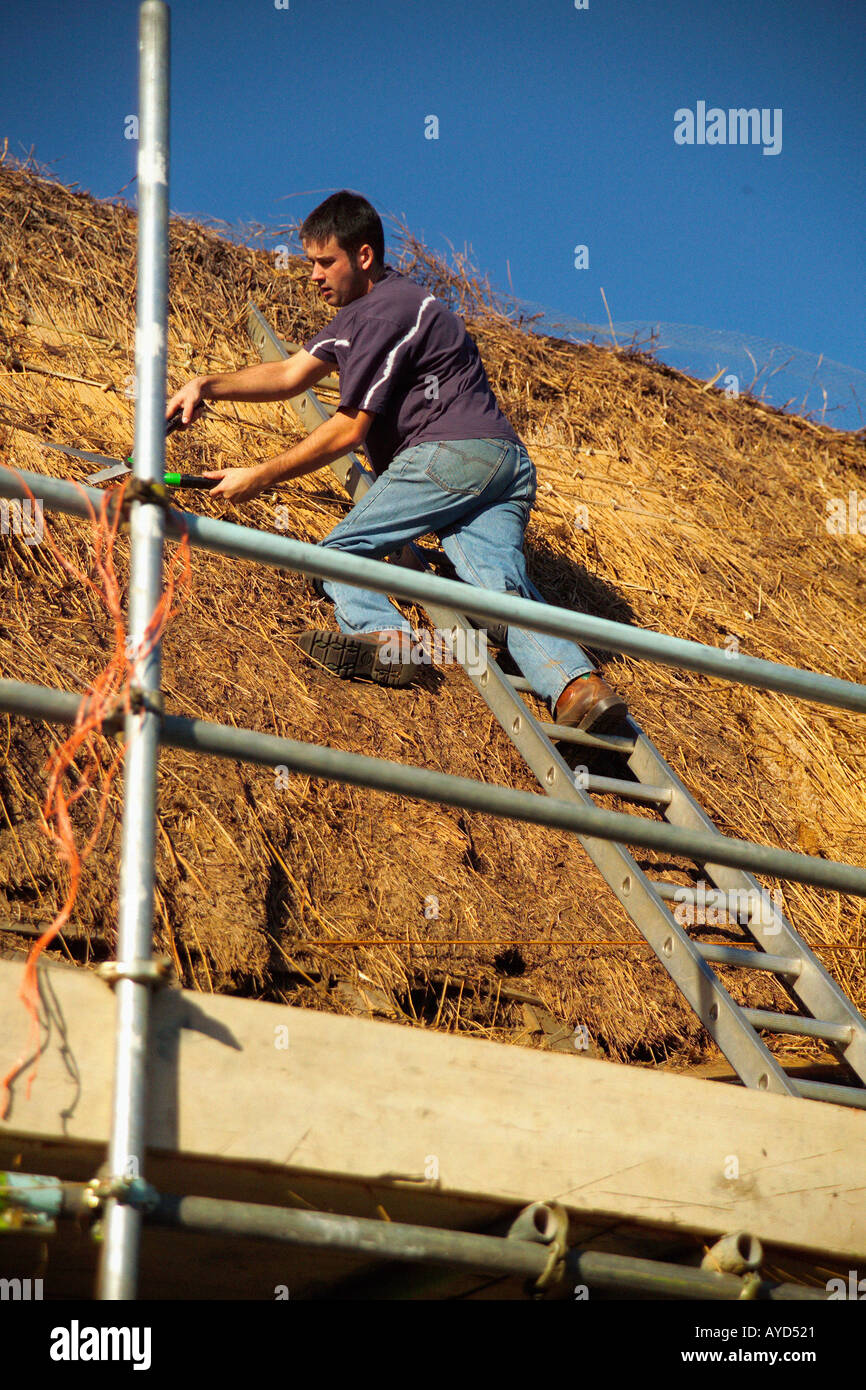Thatched roof trimming Stock Photo Alamy