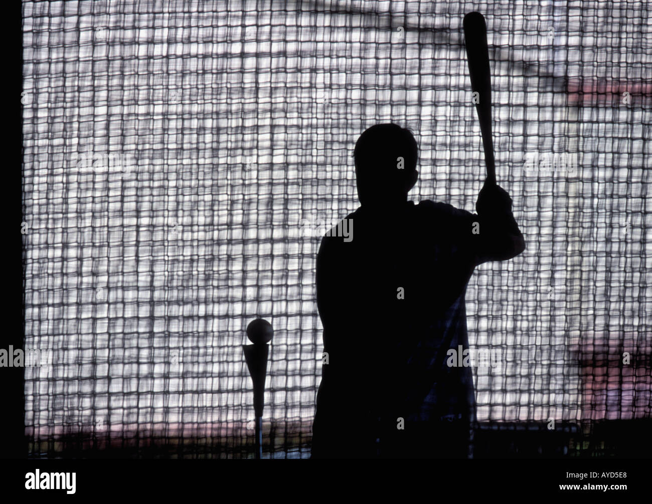 Baseball player practicing hitting off a tee Stock Photo Alamy