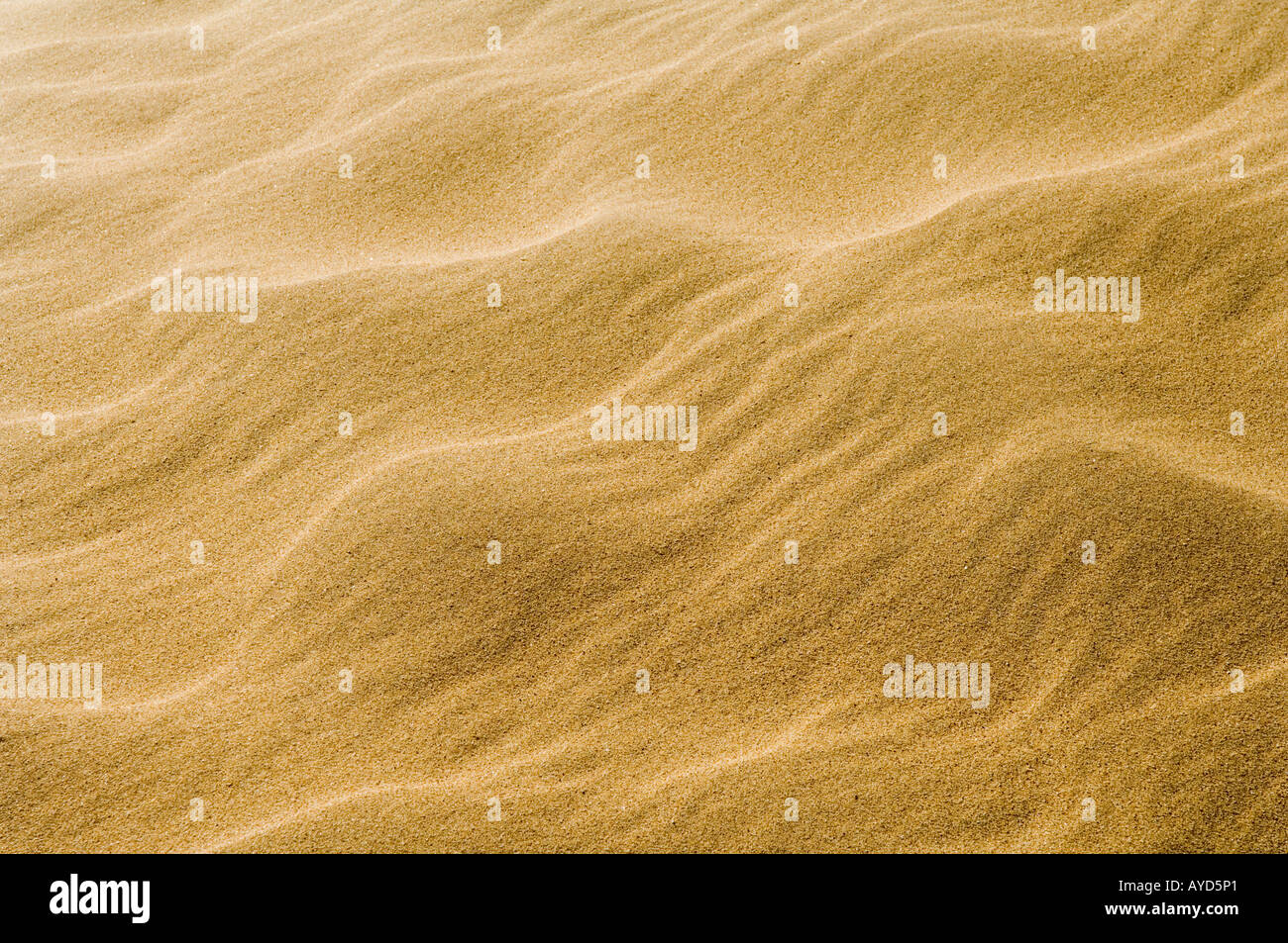Ripples in the sand caused by the tide and wind Stock Photo