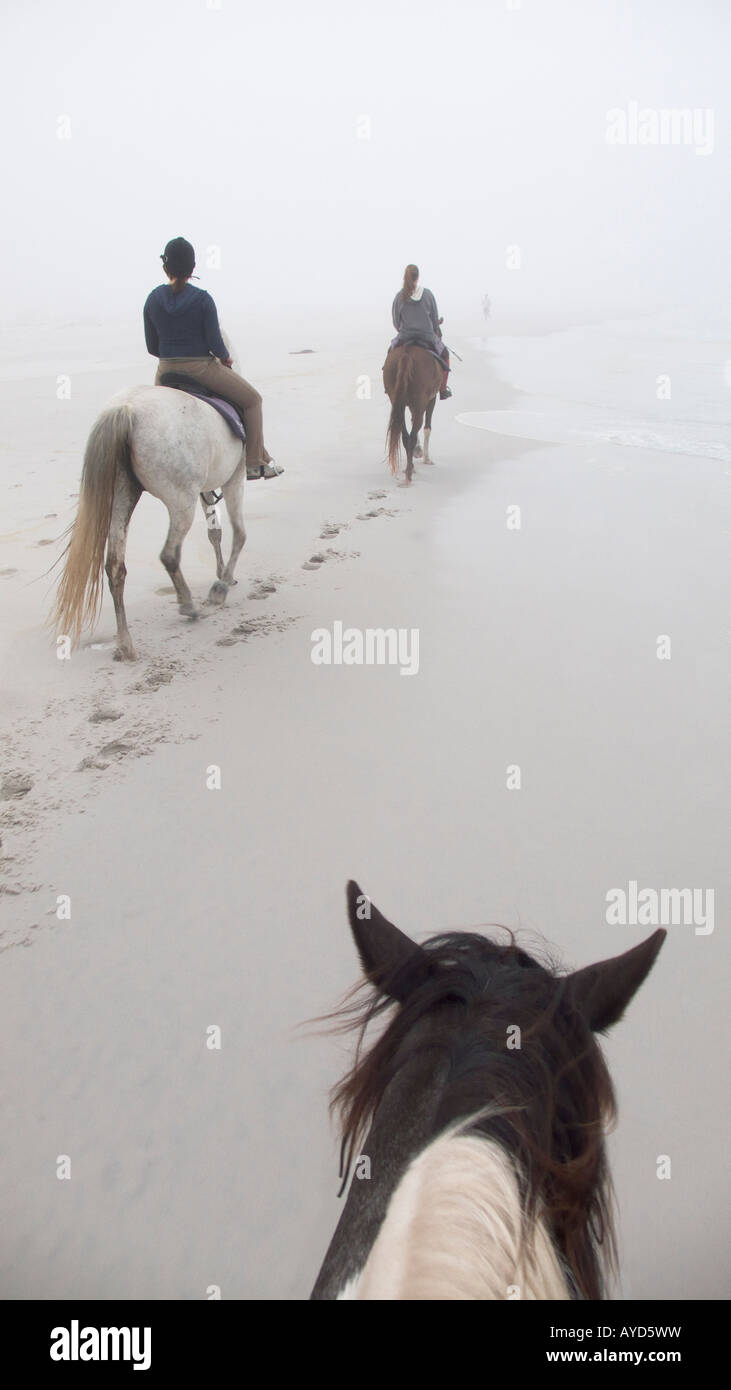 Horse riding in misty weather on Noordhoek beach near Cape Town, Cape of Good Hope, South Africa. Stock Photo