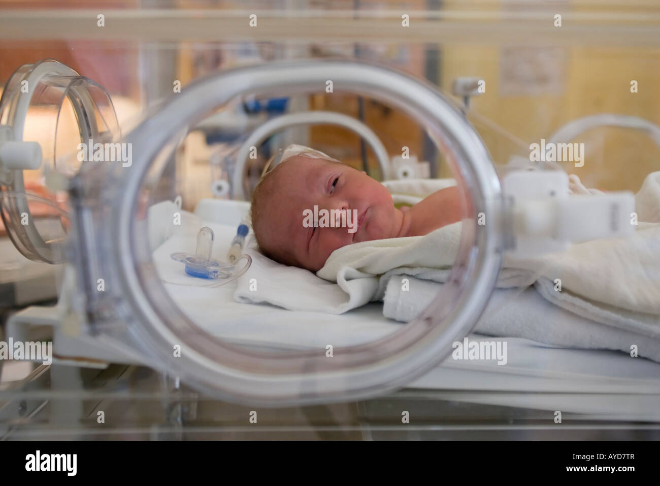 A 5 weeks premature baby lies into an incubator Stock Photo