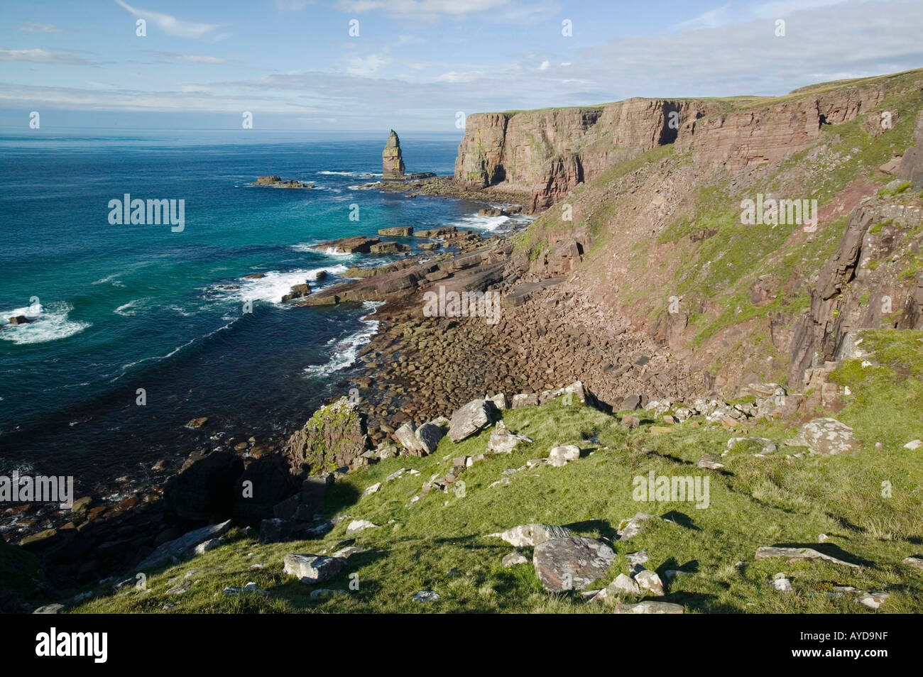 Am Buachaille sea stack on the coast south of Sandwood Bay, Sutherland, Scotland, UK Stock Photo