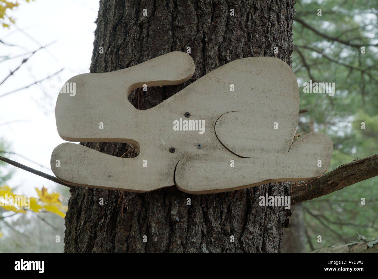 Wooden rabbit sign on a Pine Tree in the forest Stock Photo Alamy