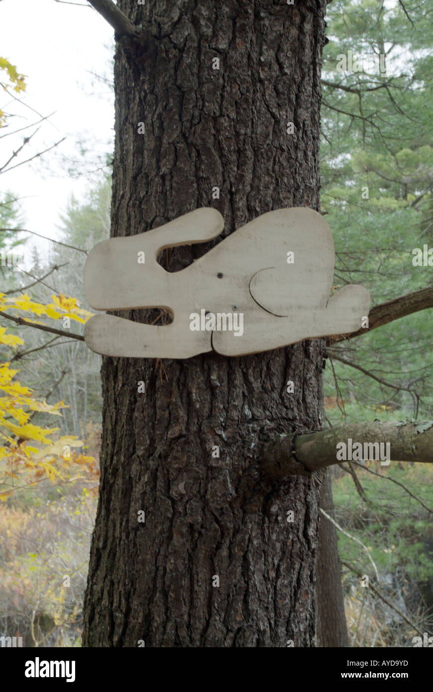 Follow the rabbit sign hi-res stock photography and images - Alamy