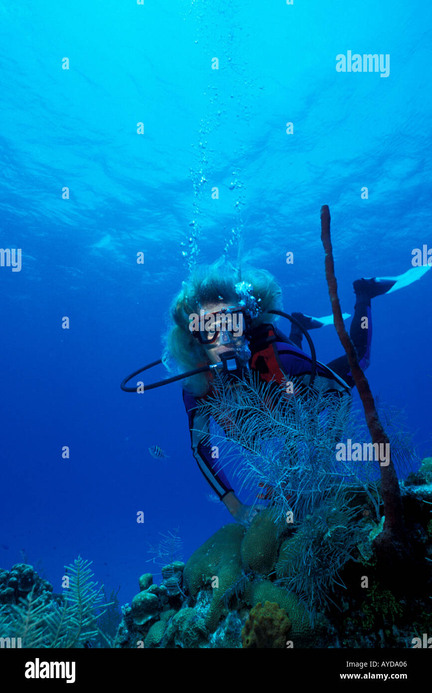 Grand Cayman woman underwater diving with red finger sponges Caribbean Stock Photo