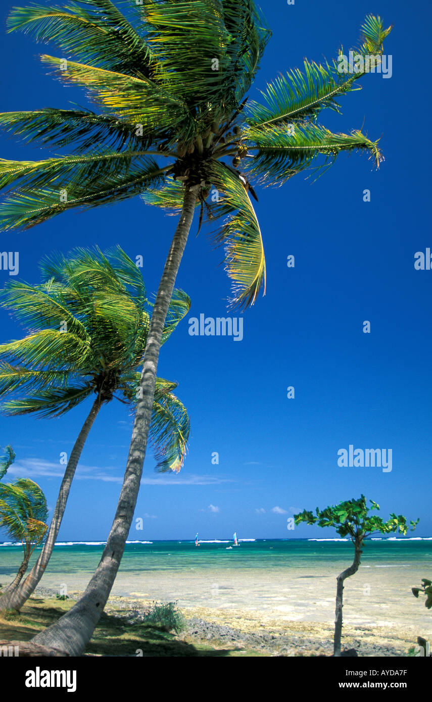 Dominican Republic Punta Cana Stock Photo - Alamy