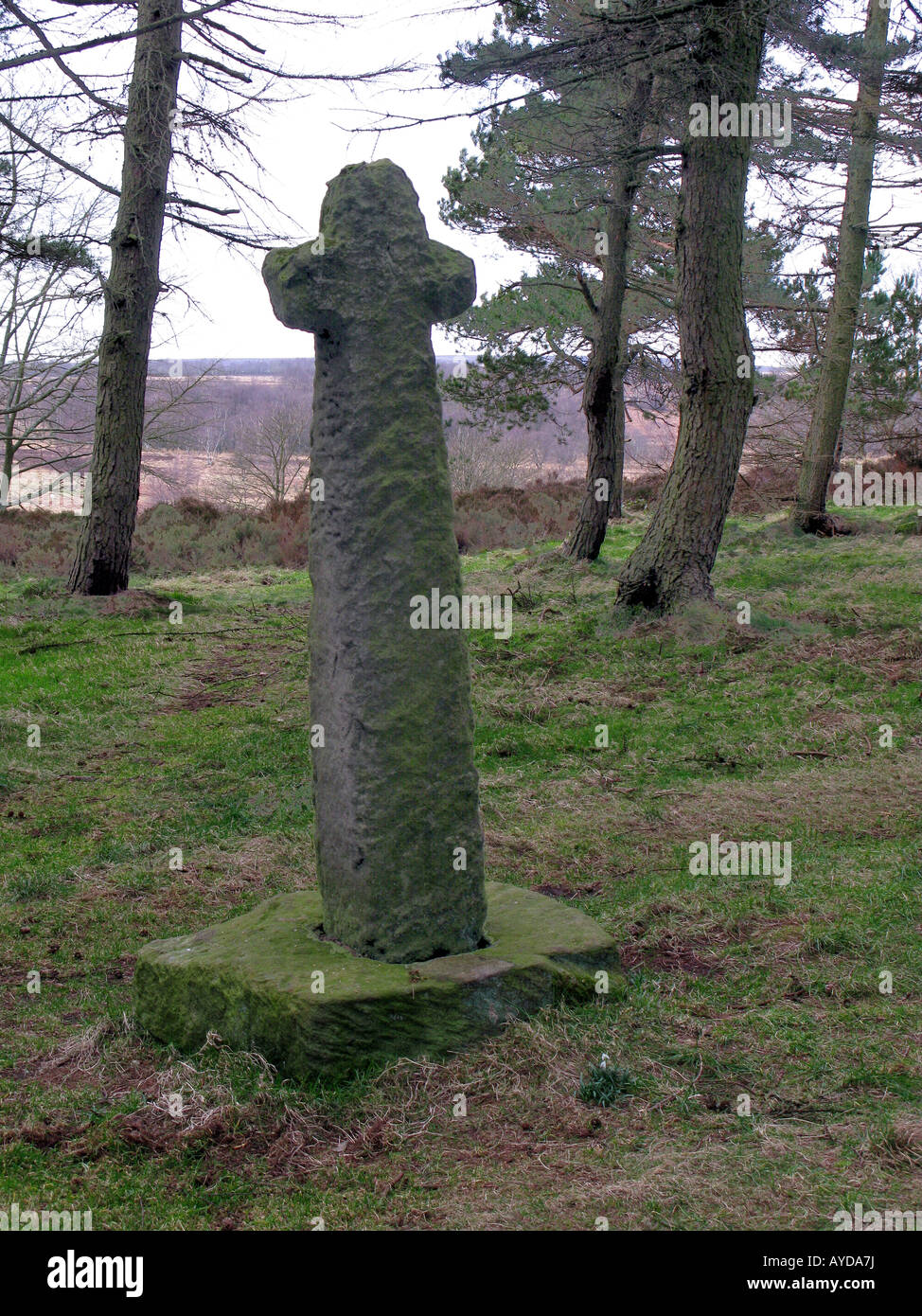 old saxon cross in Shillito wood Fox Lane, near Sheffield, Derbyshire, Peak District National Park Stock Photo