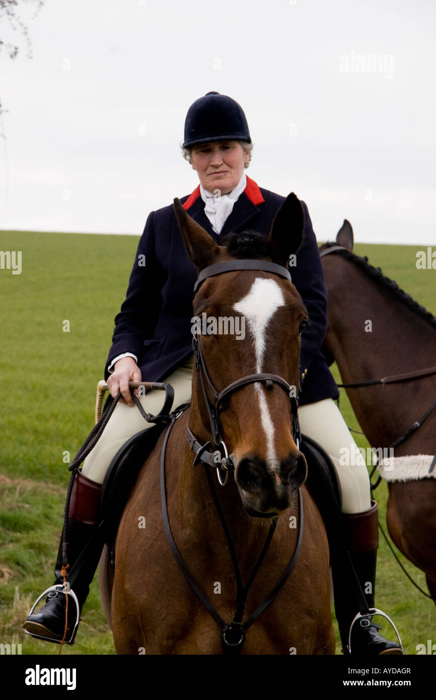 Hunting Suffolk England Stock Photo Alamy